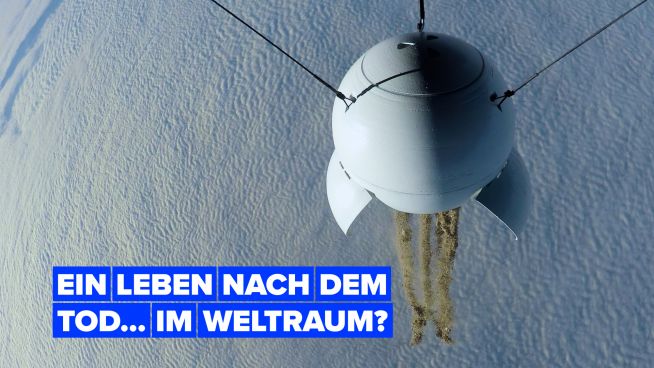 Würdest du nach deinem Tod gerne…ins Weltall reisen?