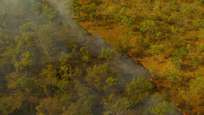 Waldbrände in Australien