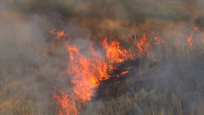 Brasiliens Regenwald schrumpft unaufhörlich