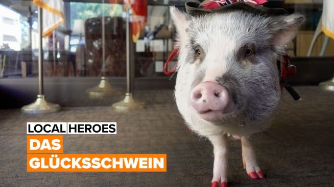 Local Heroes: Lilou, das Therapieschwein