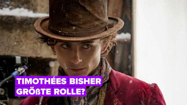 Was wir jetzt schon über Timothée Chalamets Willy Wonka-Film wissen